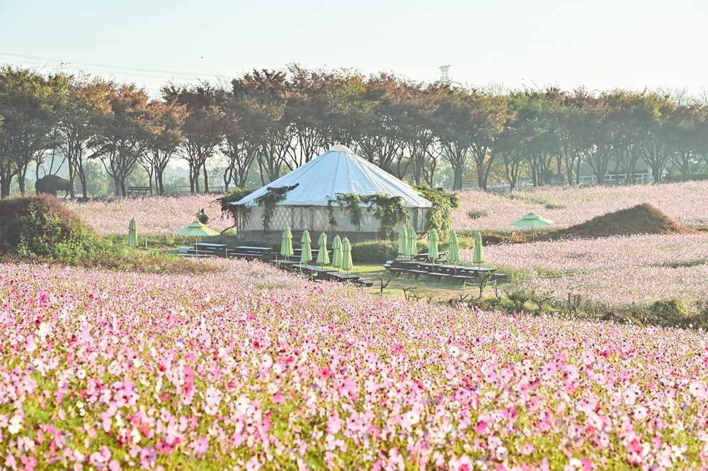 아그로랜드 이미지